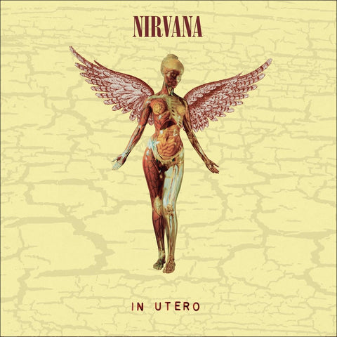 In Utero 30th Anniversary [ Original Album + Bonus Tracks ]