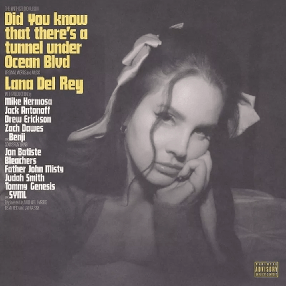 Lana Del Rey - Did you know that there's a tunnel under Ocean Blvd - Dos Viniles - Importado