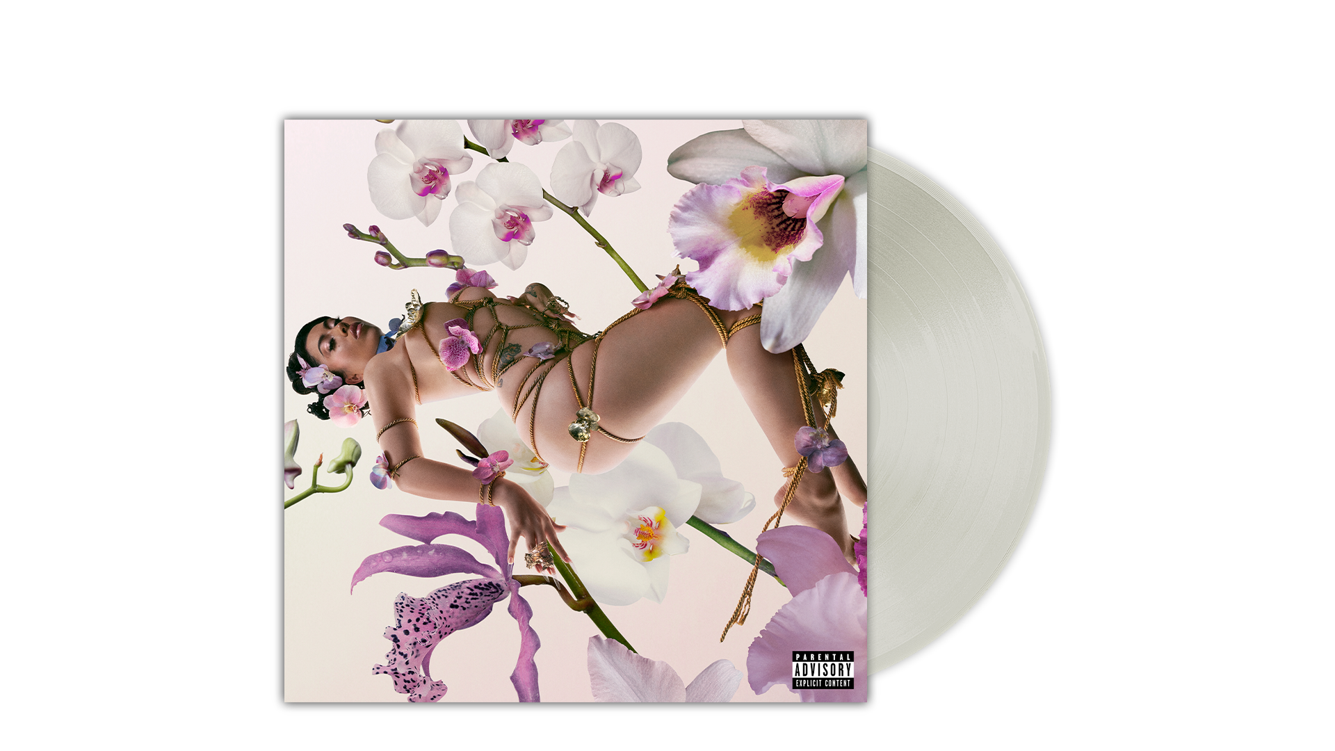 ORQUÍDEAS Exclusivo - Vinilo - Importado