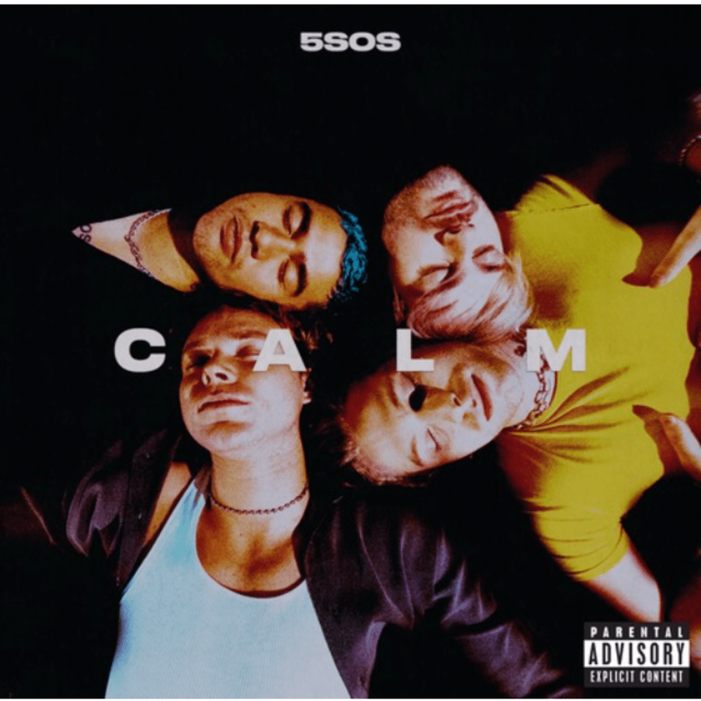 5SOS - CALM [ Standard Vinyl ] - Vinilo - Importado