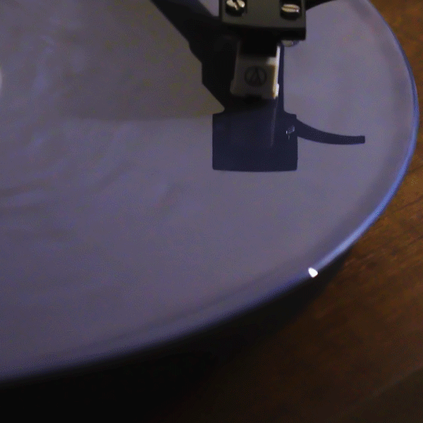 Man's Best Friend D2C Luxe Packaging LP - Importado