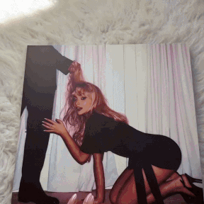 Man's Best Friend D2C Luxe Packaging LP - Importado