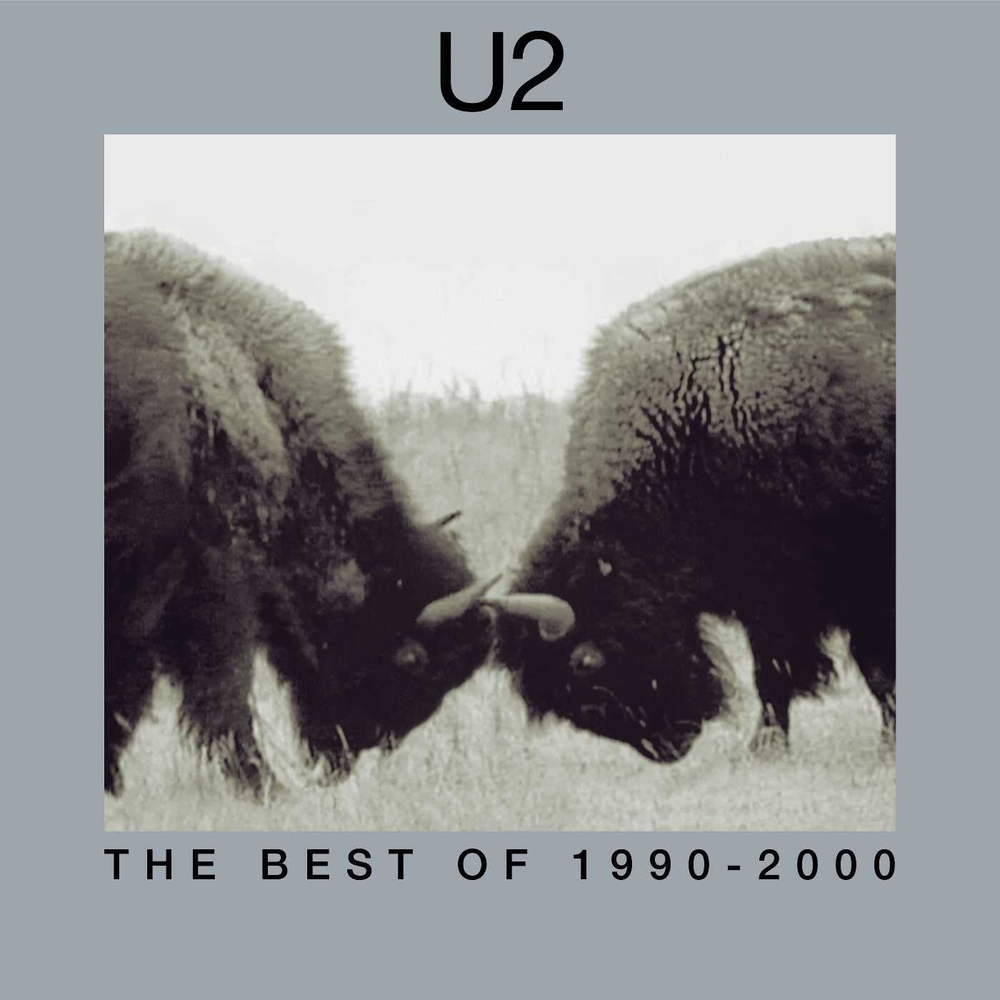 The Best Of 1990-2000 - Dos Vinilos - Importado